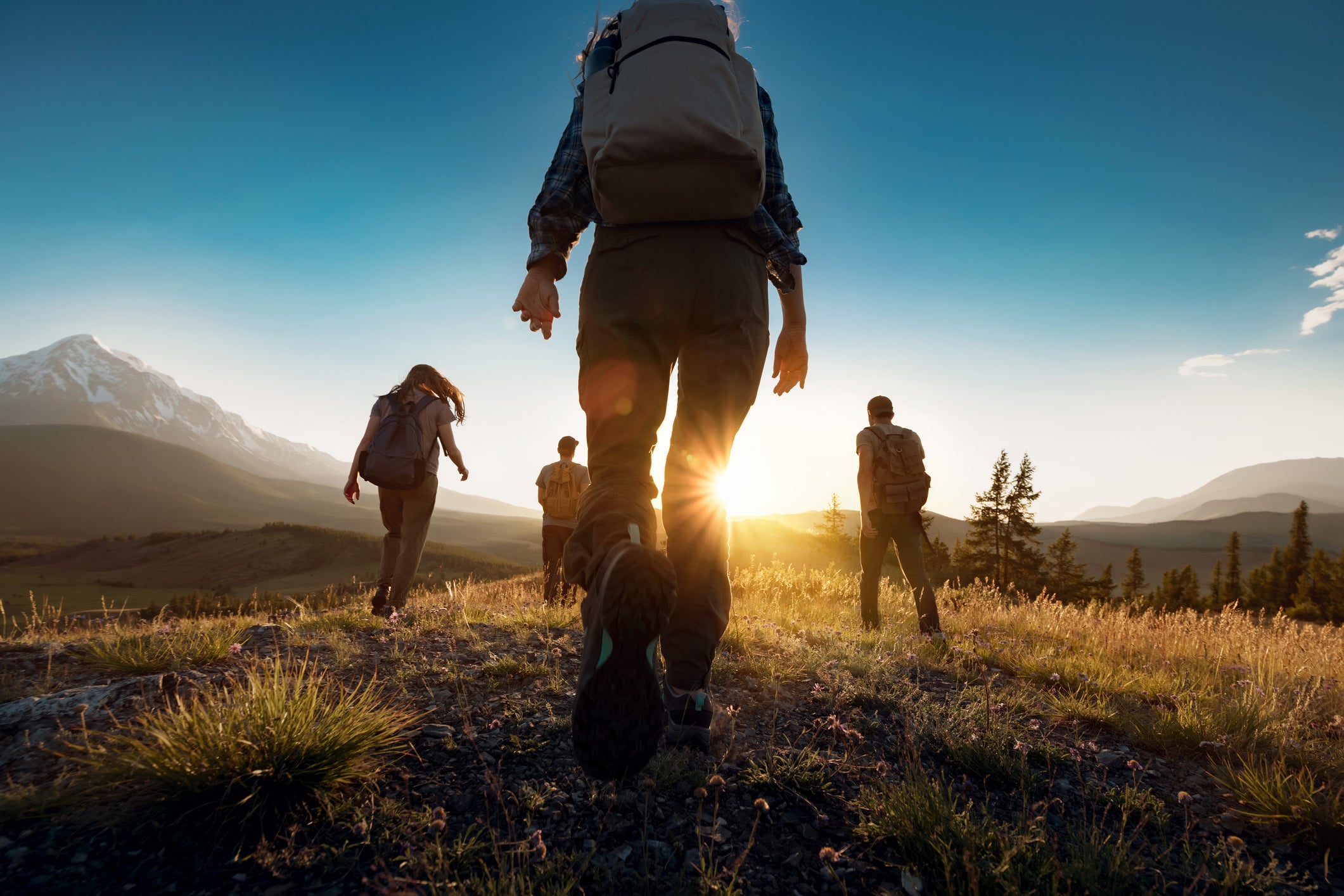 four people on an expedition