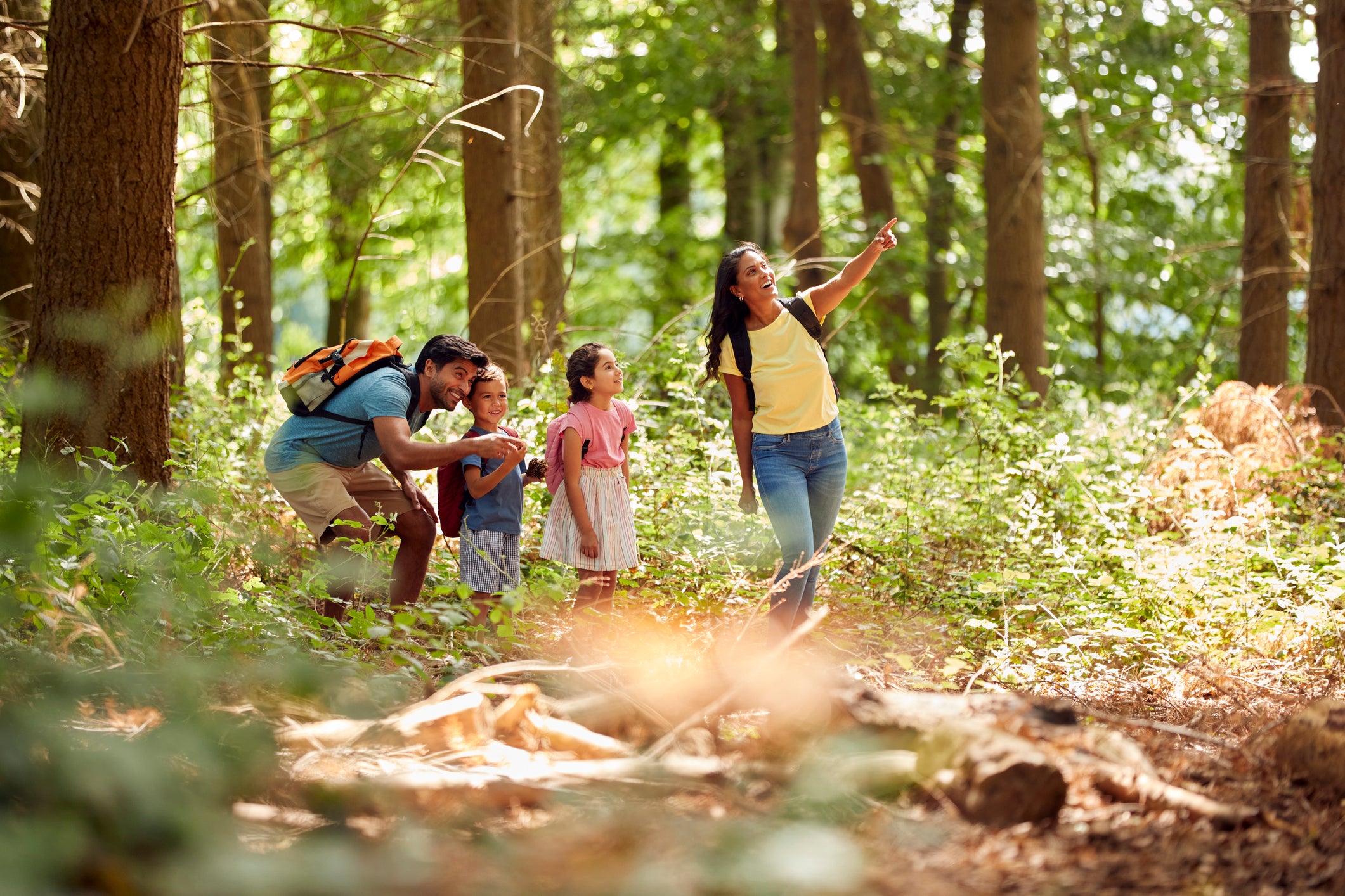 a family walking in the woods